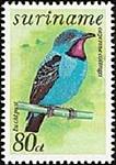 Cotinga's Avatar