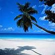 going2dabeach's Avatar
