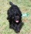 marmitenot's Avatar