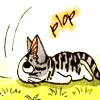 PhotoKitten's Avatar