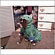 beanie0weenie's Avatar