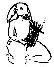 Pinaboo's Avatar