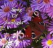 SongOfSunlight's Avatar