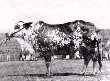 SpandexMama's Avatar