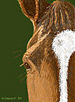 ponee's Avatar