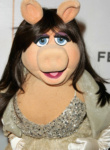 chantel1's Avatar