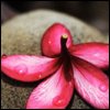 LauraGina's Avatar