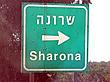 Sharona's Avatar