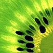 IamWillow's Avatar