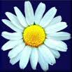 Kaydia's Avatar