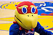 GirlieJayhawk's Avatar