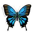 butterflywings77's Avatar