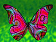 cinderelly's Avatar