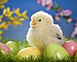 tkbada101's Avatar