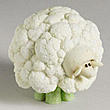 Quantum Sheep's Avatar