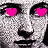 kasha21's Avatar