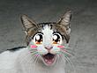 Surprisekitty's Avatar