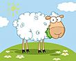 Sheepie1974's Avatar