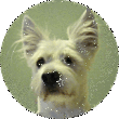 Blessed2BeeAlive's Avatar