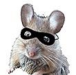 anonymouse75's Avatar