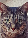 jen87's Avatar