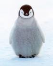 yumeo's Avatar