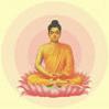 dharma2000's Avatar