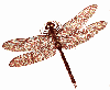 Ell-Dee's Avatar