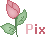 pixnpink's Avatar