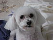 Remotely's Avatar