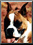 Lrissy's Avatar