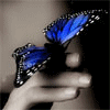 BrokenButterfly's Avatar