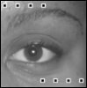 New_Journey's Avatar