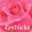 FeyNicks's Avatar