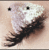 April2November's Avatar