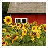 BackPorchPoet's Avatar
