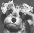 AveryS.'s Avatar