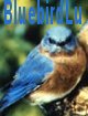BluebirdLu's Avatar