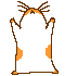 cavycrazy's Avatar