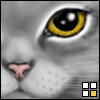 kayohkay's Avatar