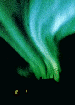 DonnaD69's Avatar