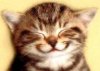 tygereyes77's Avatar