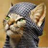 Christin In CO's Avatar