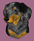 Keepee's Avatar