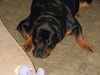heatherbelle74's Avatar