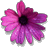 lalylun's Avatar